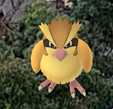 Pokemon outside apartment 2