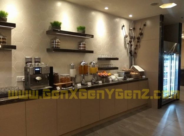 Changi Airport T1 Plaza Premium Lounge 2