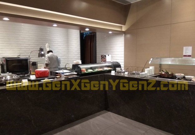 Changi Airport T1 Plaza Premium Lounge 3