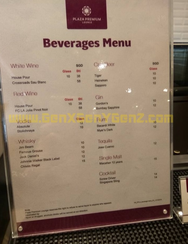 Changi Airport T1 Plaza Premium Lounge 4