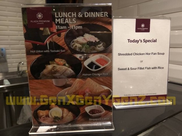 Changi Airport T1 Plaza Premium Lounge