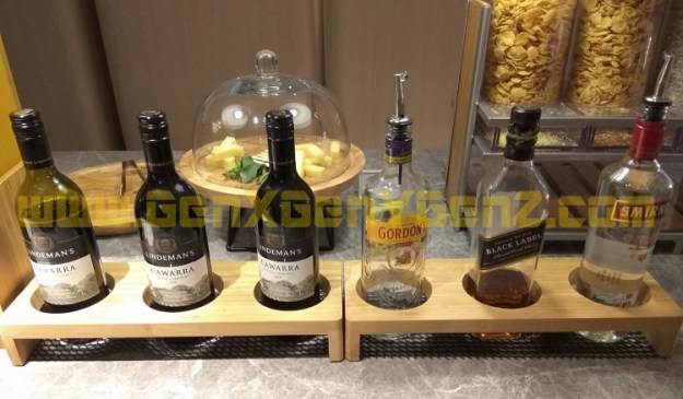 Changi Airport T4 Plaza Premium Lounge 4.jpg