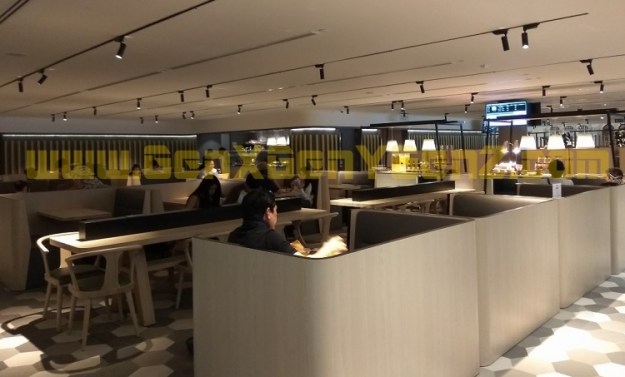 Changi Airport T4 Plaza Premium Lounge 8