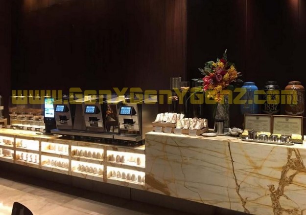 Singapore Airlines Louunge Changi Airport T2 3