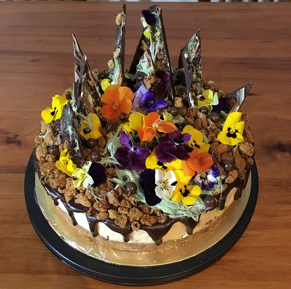 Tiramisu in the Wild.jpg