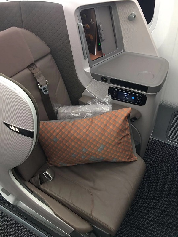 Singapore Airlines Business Class Boeing 787 Nagoya to Singapore Seat 7