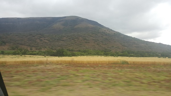 South Africa Safari 1