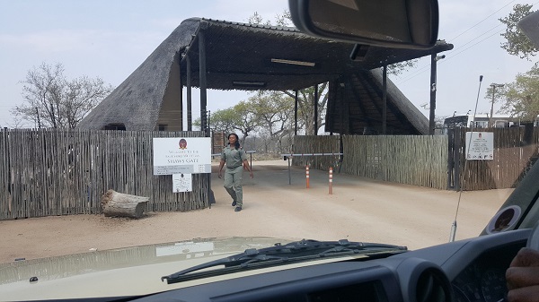 South Africa Safari 2