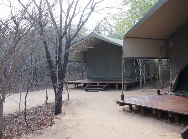 South Africa Safari 3