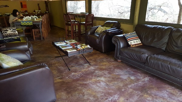 South Africa Safari 5