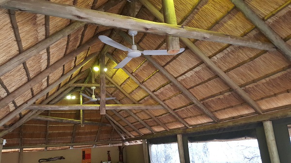 South Africa Safari 6