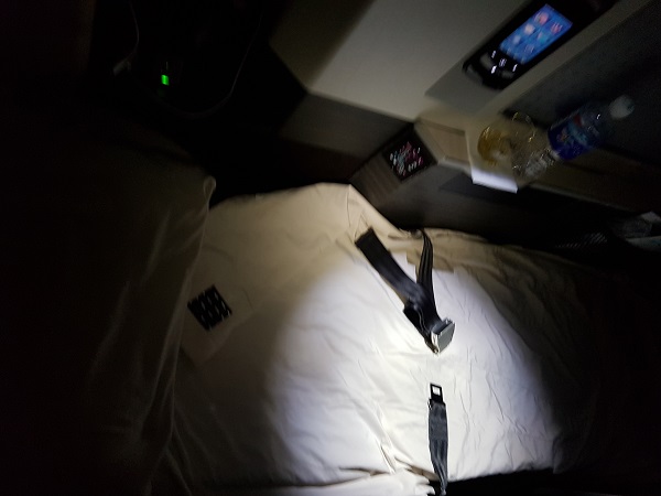 Japan Airlines Sky Suite Business Class Seat 1C Bed 1