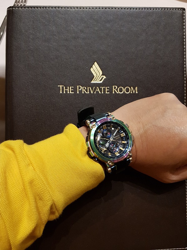 Singapore Airlines Private Room.jpg