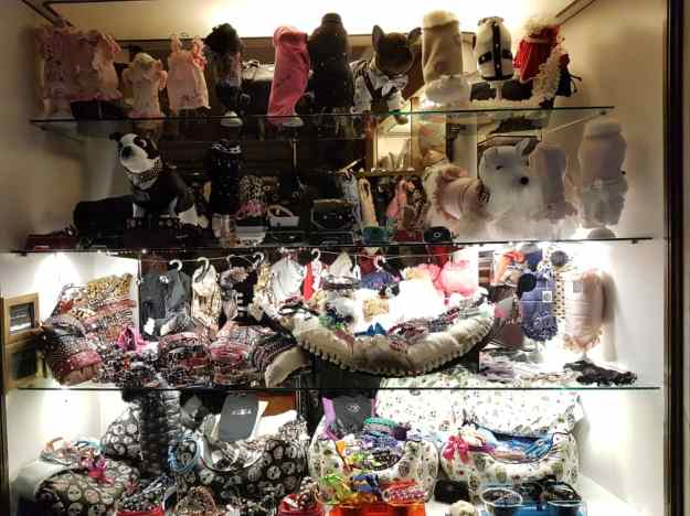 Venice Dog accessories