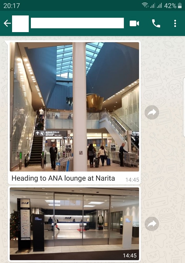 ANA Business Class 1.jpg