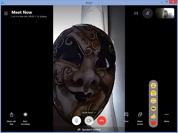 Skype Video Conference Calls 12
