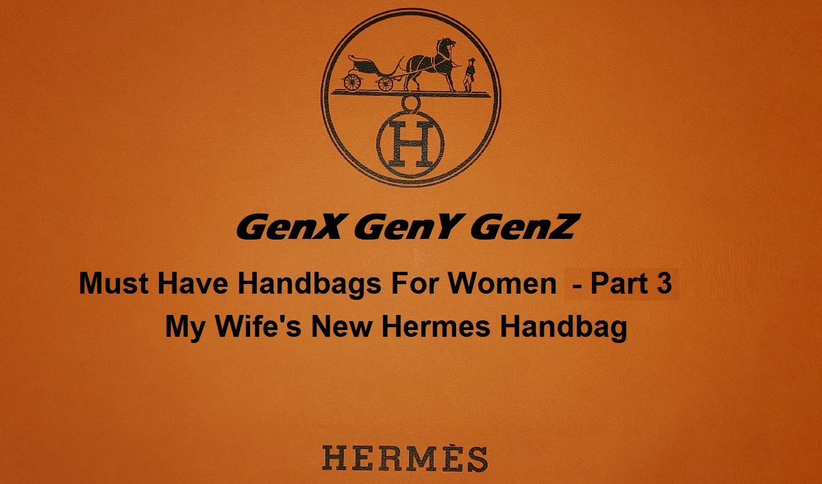 Must Handbg For Women Part 3 Hermes Herbag
